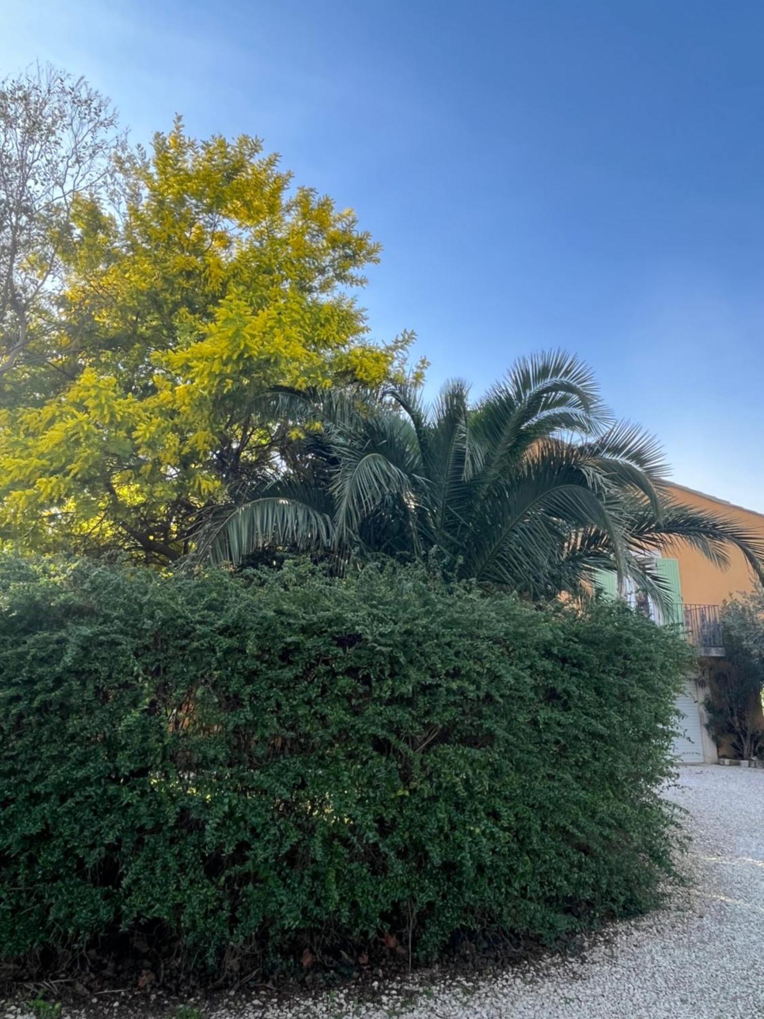 Les Jardins Du Soleil Apartment Авиньон Екстериор снимка