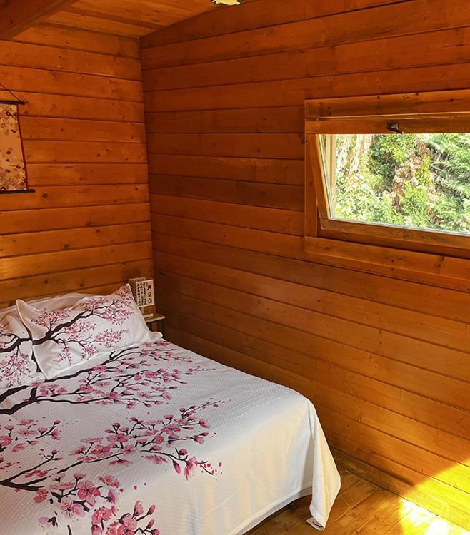 Les Jardins Du Soleil Apartment Авиньон Екстериор снимка